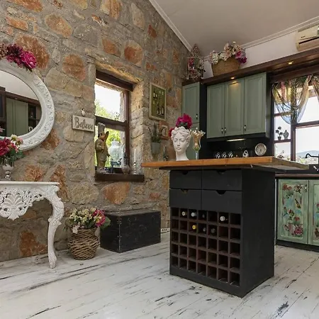 Astonishing Villa In Bodrum Villa