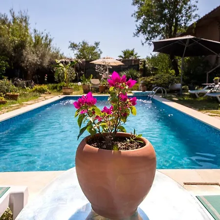 Astonishing Villa In Bodrum