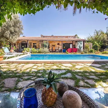 Astonishing Villa In Bodrum Villa