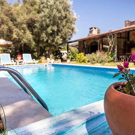 Astonishing Villa In Bodrum