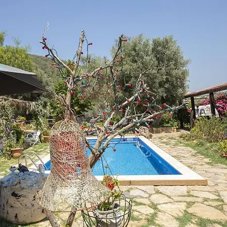 Astonishing Villa In Bodrum